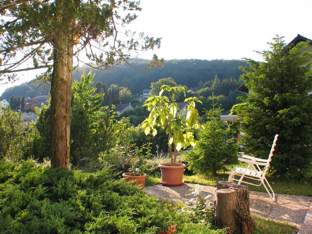 Ferienwohnung In Waldrandlage Zierenberg Екстериор снимка